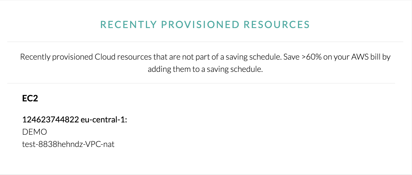 Recently Provisioned Resources section of the cost report listing new AWS resources