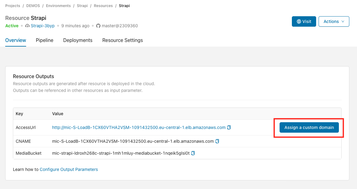 Component Outputs section with the Assign a custom domain button