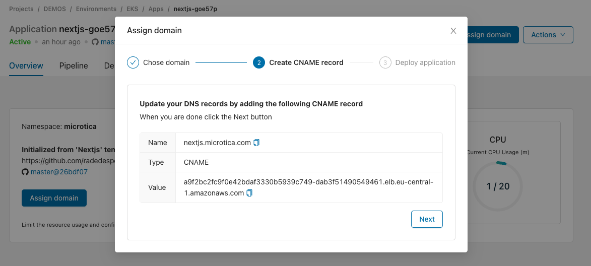 DNS records to add for the custom domain in the Microtica console