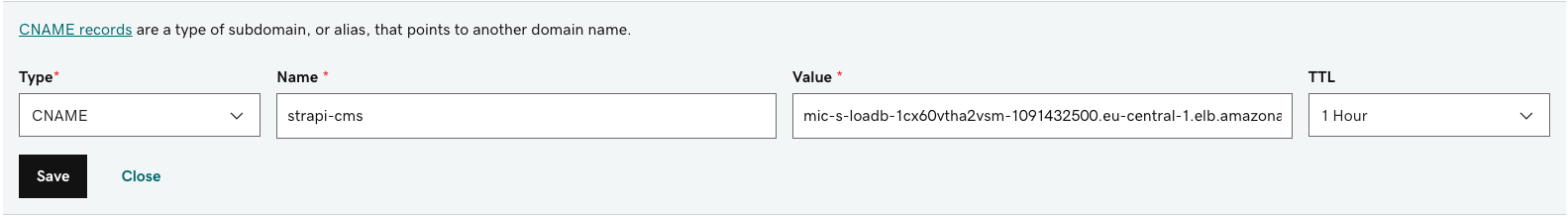 Adding the CNAME records in the GoDaddy DNS settings