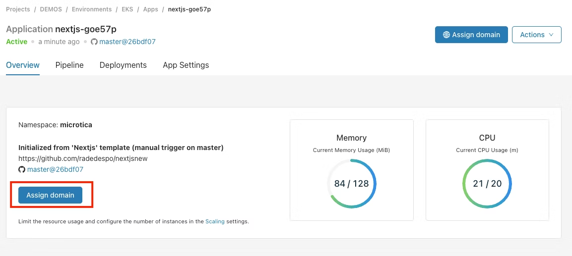 Assigning a custom domain to an application in the Microtica console