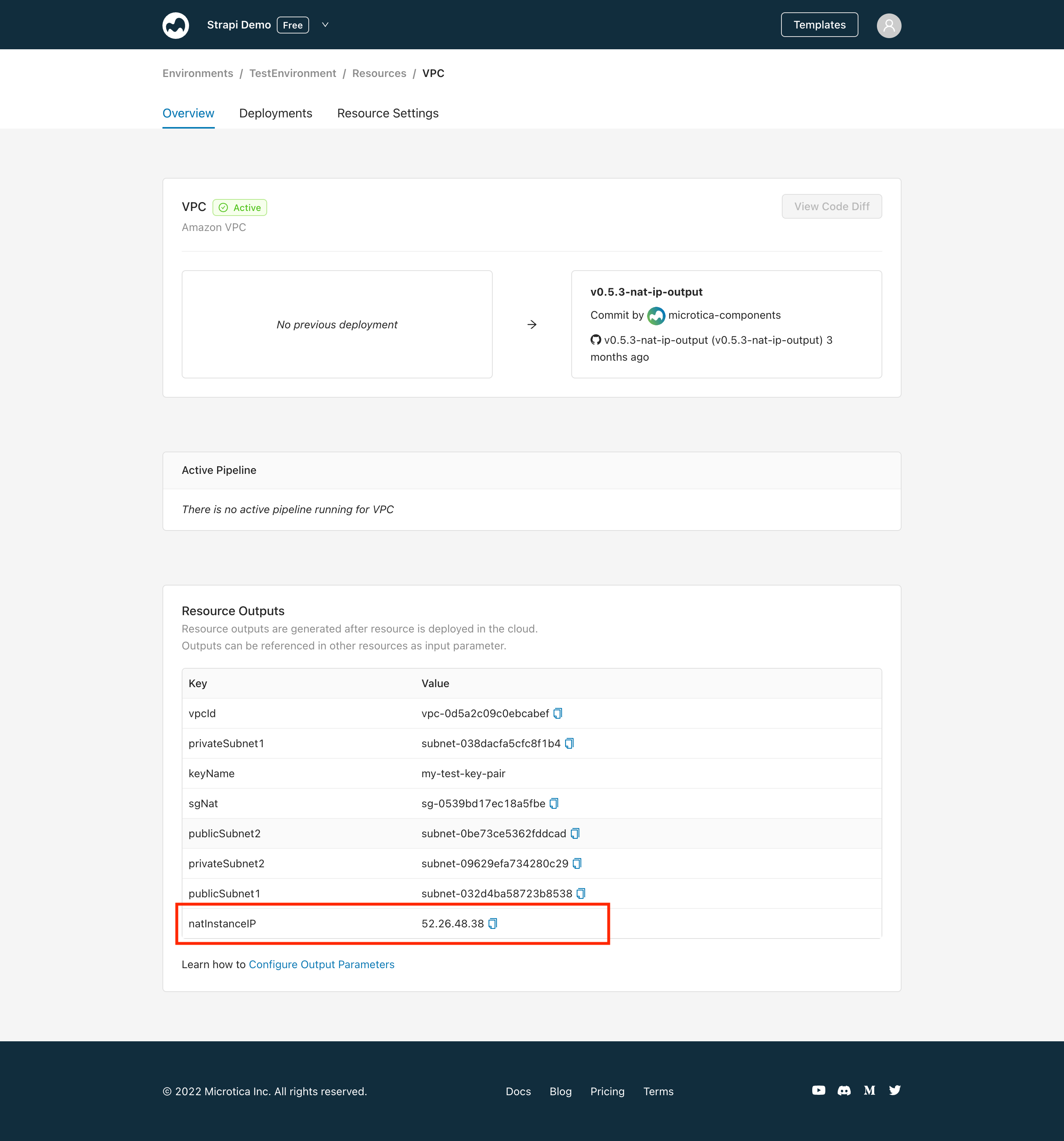 The NAT instance IP in the VPC resource outputs in Microtica