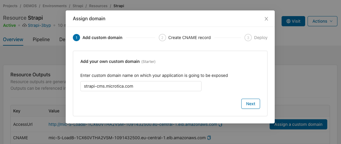 Entering a custom domain name for the component