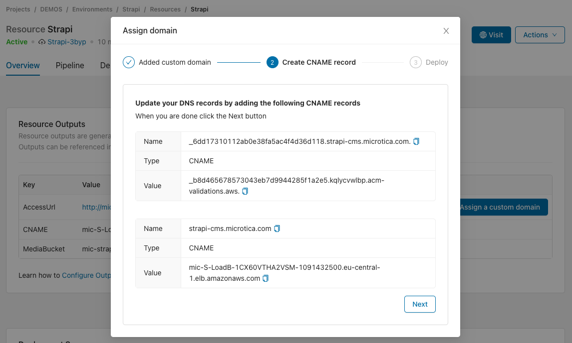 Pair of CNAME records to add at your DNS provider