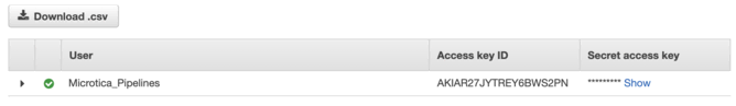 The generated AWS access key ID and secret access key